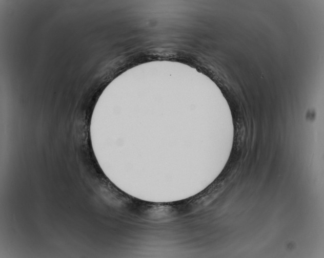 X0000101670609200808071047
