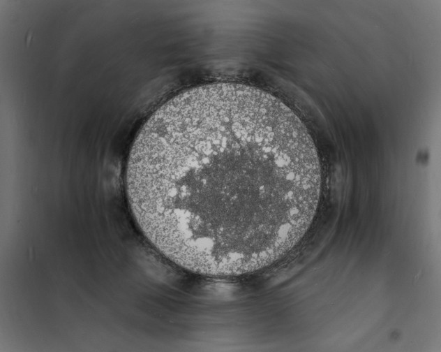 X0000101670610200808071047