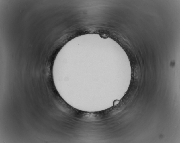 X0000101670611200808071047