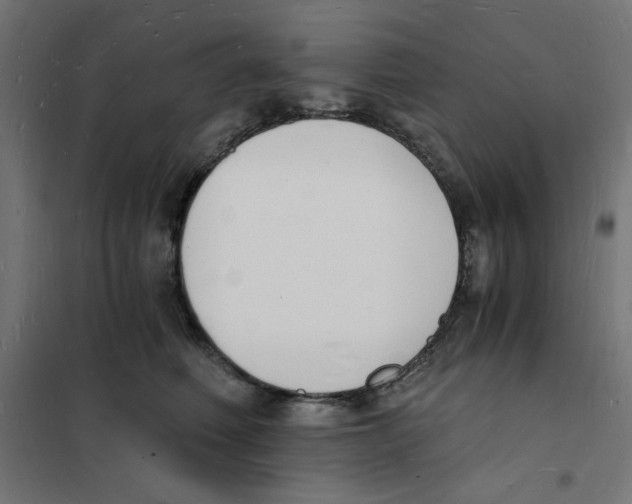 X0000101670614200808071046