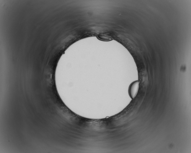 X0000101670615200808071046