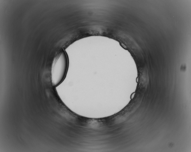 X0000101670616200808071046