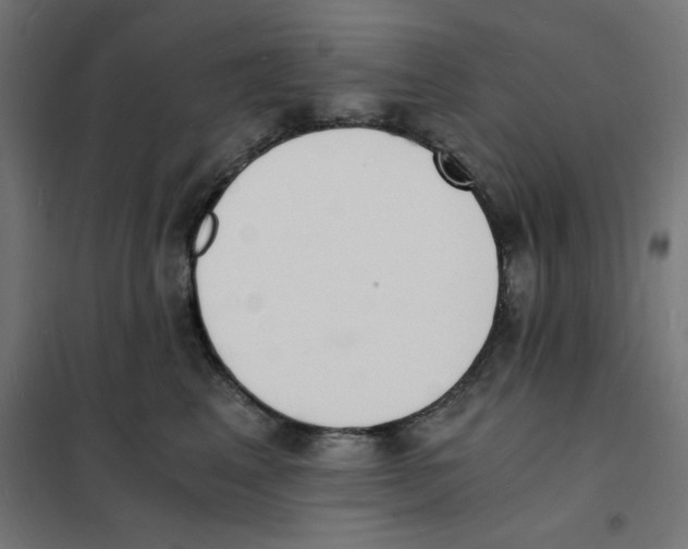 X0000101670617200808071046