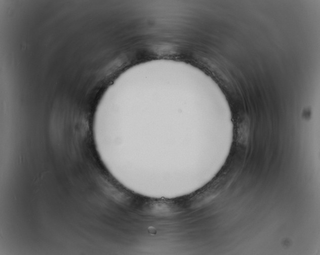 X0000101670618200808071046