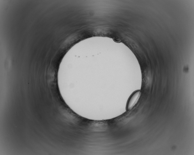 X0000101670619200808071046
