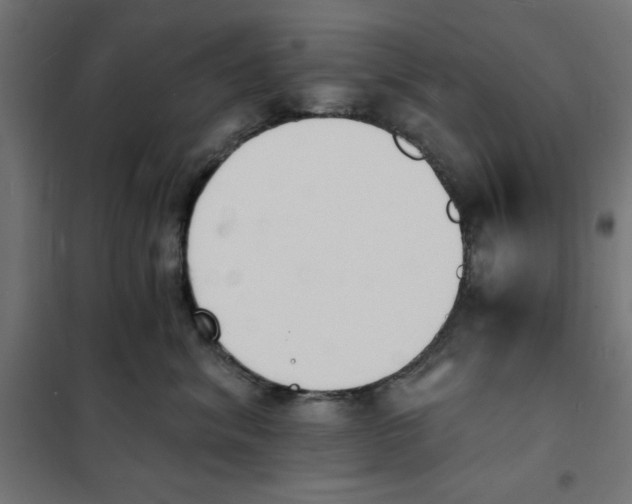 X0000101670620200808071046