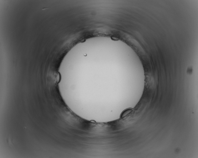 X0000101670621200808071046