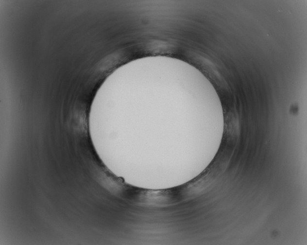 X0000101670622200808071046
