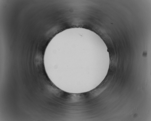 X0000101670623200808071046