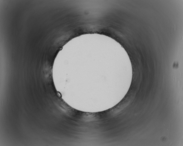 X0000101670624200808071046