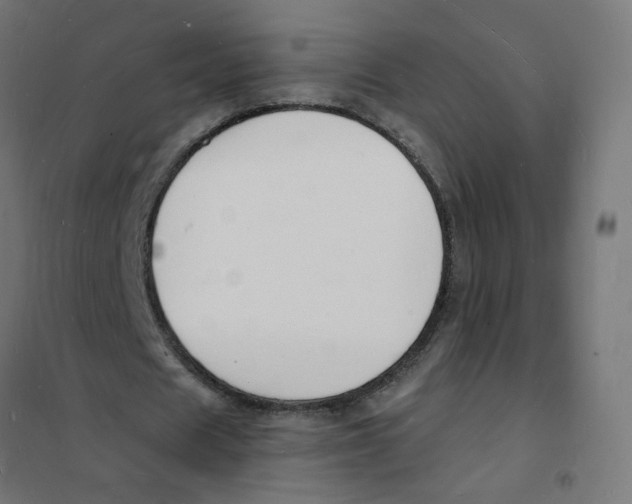 X0000101670625200808071046