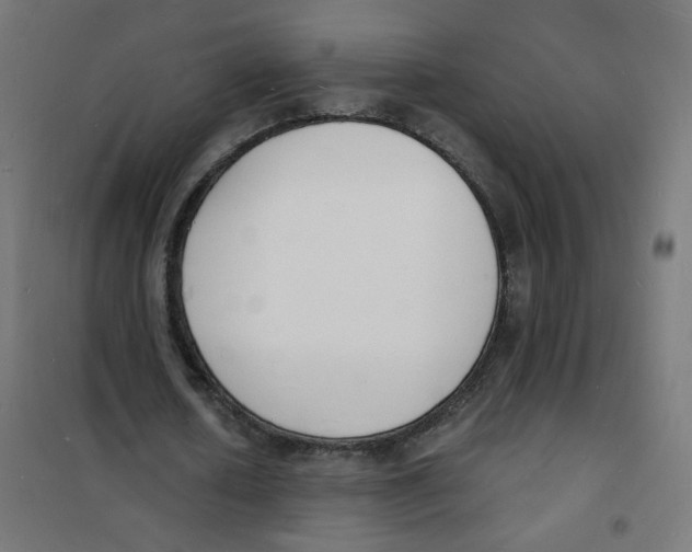 X0000101670626200808071046