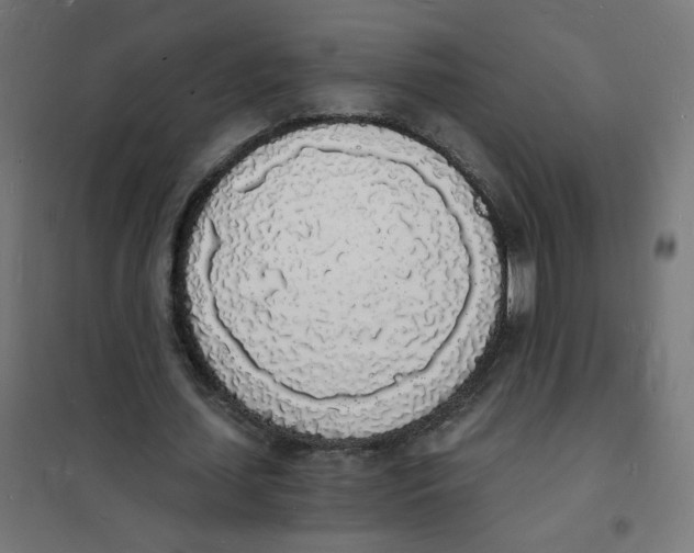 X0000101670627200808071046