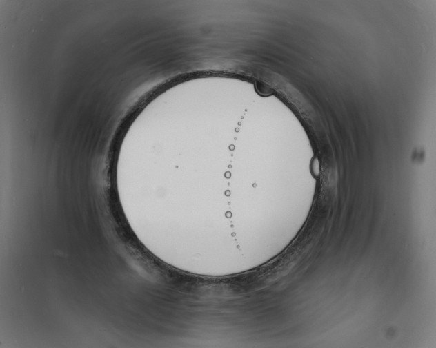 X0000101670628200808071046