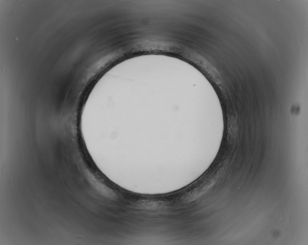 X0000101670629200808071046