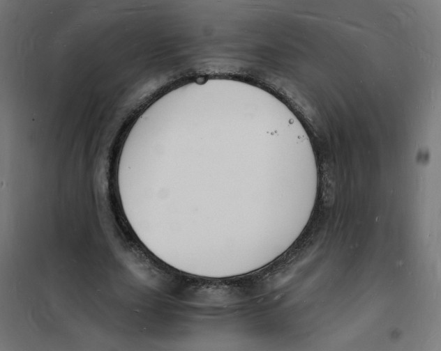 X0000101670631200808071046