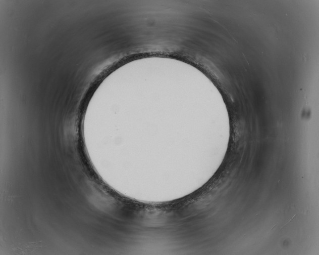 X0000101670632200808071046