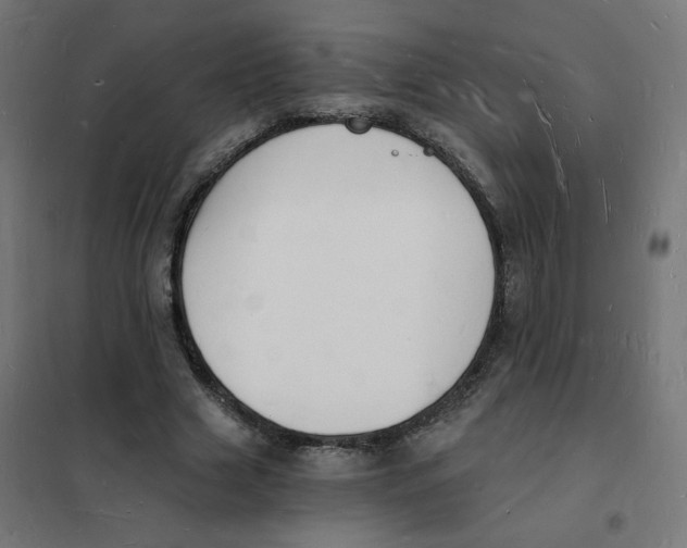X0000101670633200808071046