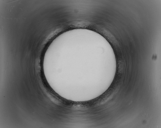 X0000101670634200808071046