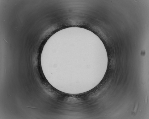 X0000101670635200808071046