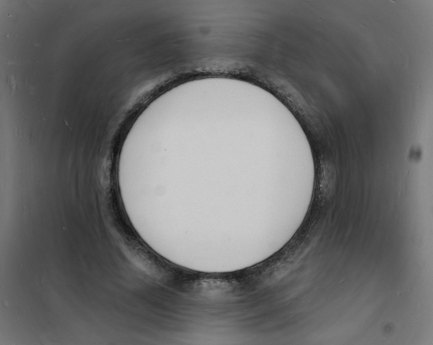 X0000101670636200808071046