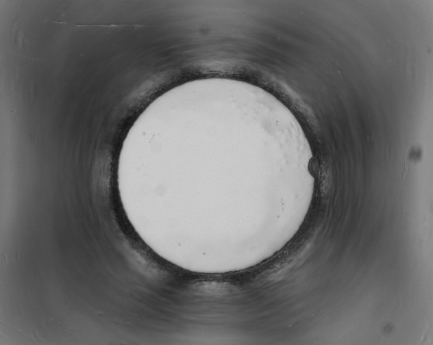 X0000101670637200808071046