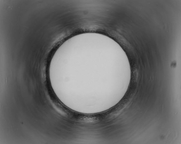 X0000101670638200808071046