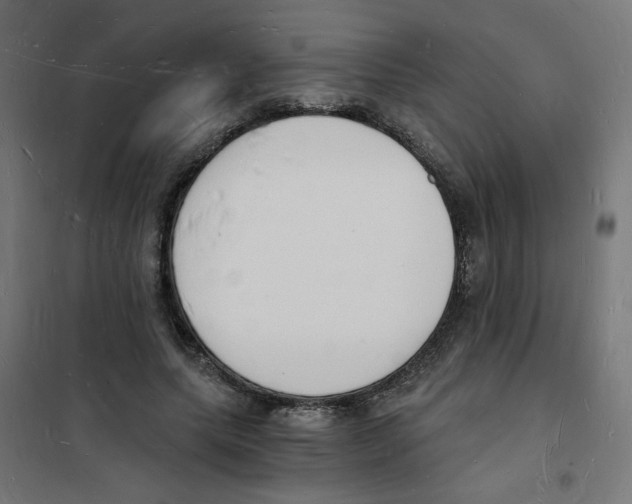 X0000101670639200808071046