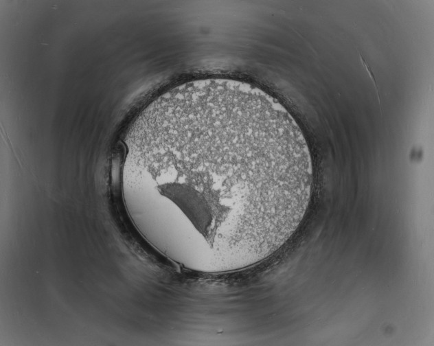 X0000101670640200808071046