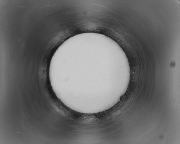 X0000101670642200808071046
