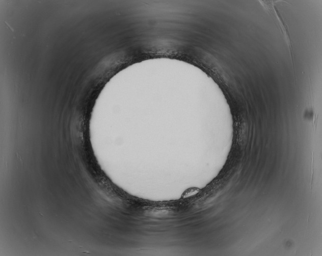 X0000101670643200808071046