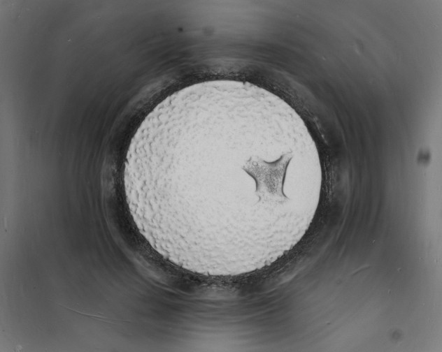 X0000101670644200808071046