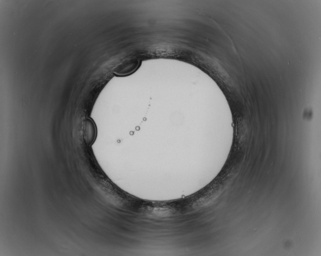 X0000101670645200808071046