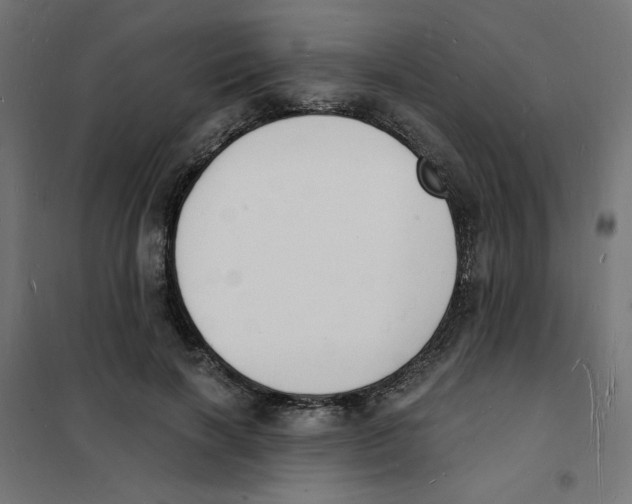 X0000101670646200808071046