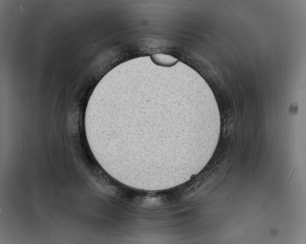 X0000101670647200808071046
