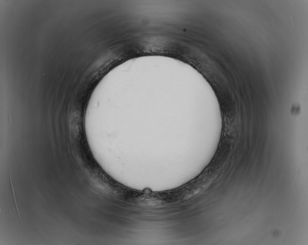 X0000101670648200808071046