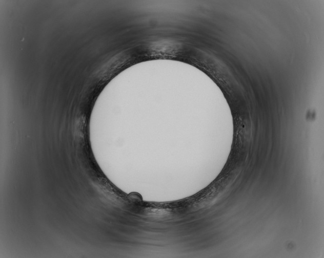 X0000101670649200808071046