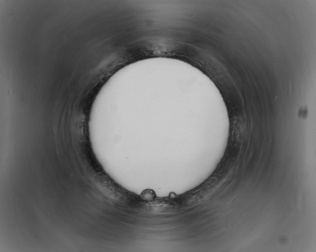 X0000101670650200808071046