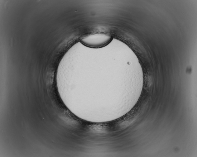 X0000101670652200808071046