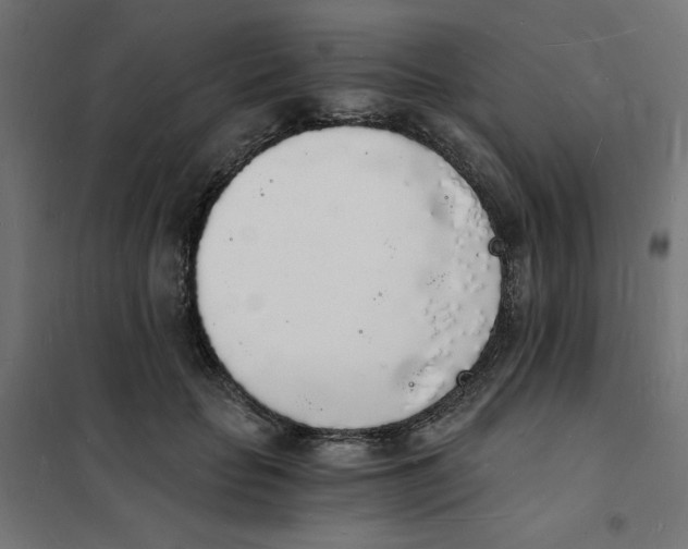 X0000101670653200808071046