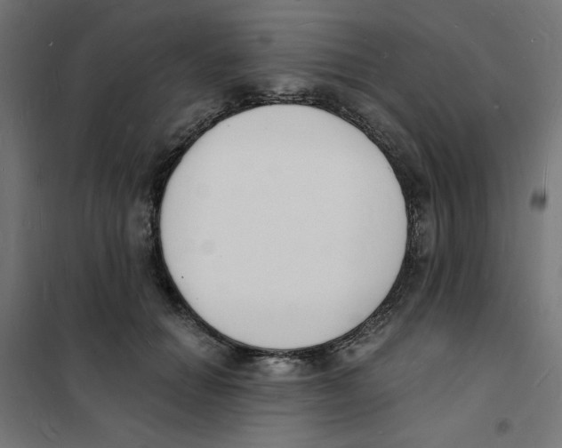 X0000101670654200808071046