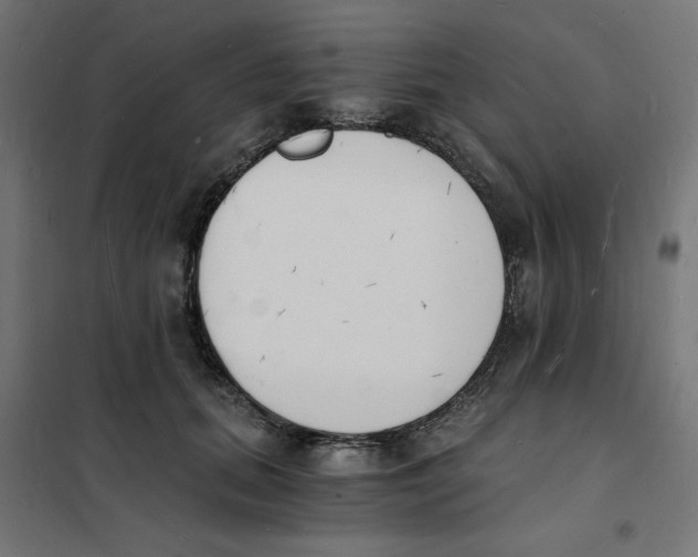 X0000101670655200808071046