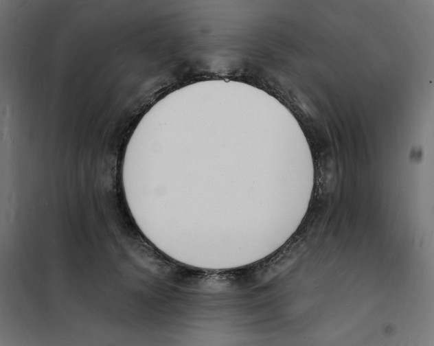 X0000101670656200808071046