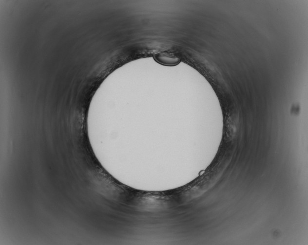 X0000101670657200808071046