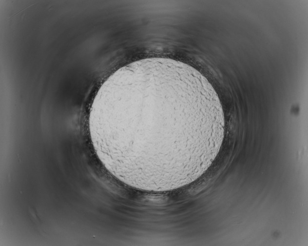 X0000101670659200808071046