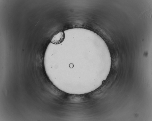 X0000101670661200808071046