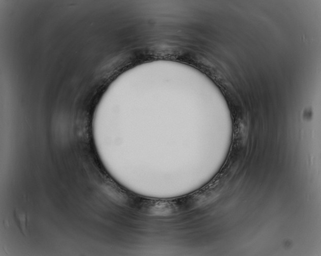 X0000101670663200808071046