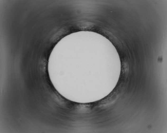 X0000101670664200808071046