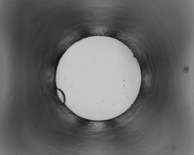 X0000101670665200808071046