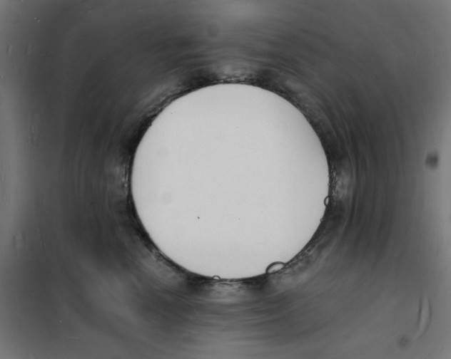 X0000101670666200808071046